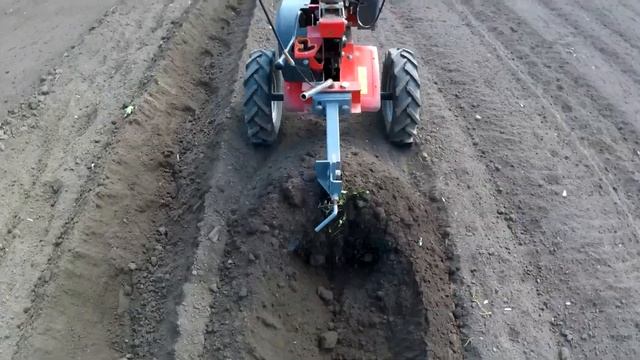 Посадка картофеля под мотоблок (нарезка борозд ). смотреть онлайн