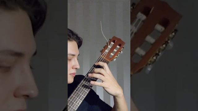 Andreína/Vals Venezolano No.2 - Antonio Lauro смотреть онлайн
