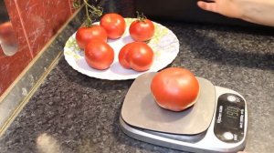 Томат " Эволюция ".