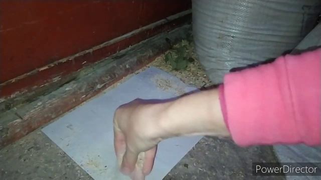 борьба с мышами и крысами. помогает "Ваше Хозяйство" смотреть онлайн