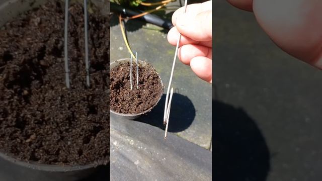 Инструментальные Современности