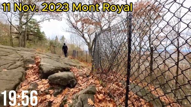 Montreal hiking: Mont Royal, 40 Minutes Workout on 11 Nov. 2023 (Treadmill Virtual Scenery) смотреть онлайн