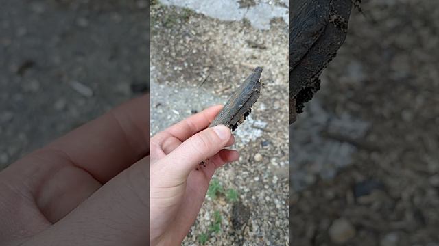 УГАДАЙ! ЧТО ЭТО? 🤔