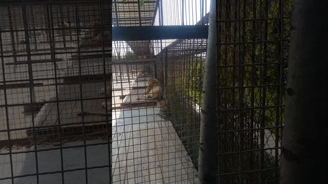 4 октября 2023 г. смотреть онлайн