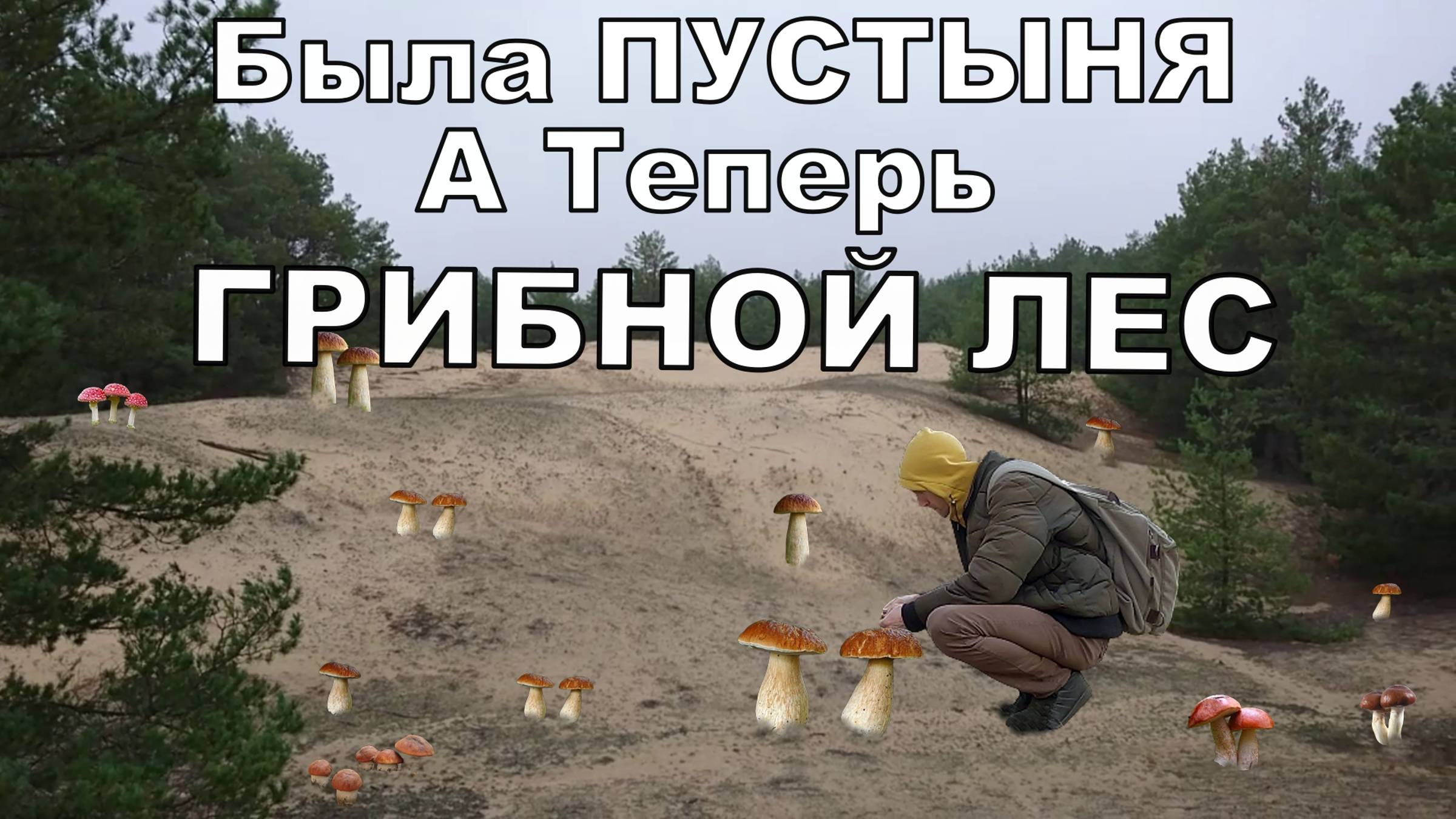 Никогда не думал что Буду Собирать ГРИБЫ в Пустыне