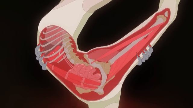 ÉLÉGIE - (FX exercice - Bachelor of Arts in Character Animation and Animated Filmmaking) смотреть онлайн