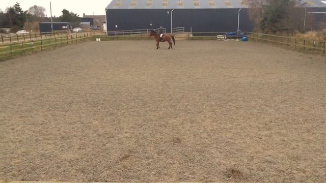 Intro C 2016 Dressage Anywhere. смотреть онлайн