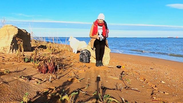 Зимний Крым. 30 декабря 2023 г. Керченский полуостров. Что я здесь делаю? смотреть онлайн