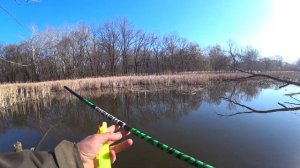 ПЛОТВА В ПРОВОДКУ НА МАХОВУЮ УДОЧКУ ВЕСНОЙ!!!