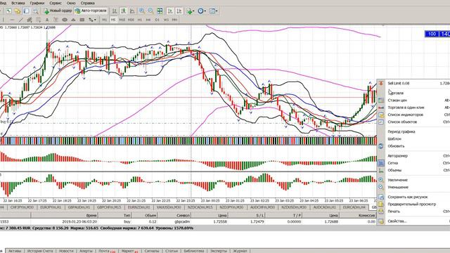 Скальпинг по Б.Вильямсу "Торговый Хаос" смотреть онлайн