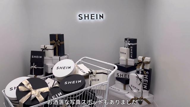 vlog: 社会人OLの日常🌿ブランドカフェに癒される休日☕️Dior購入品🤍SHEIN実店舗に行ってみた👀ティファニーカフェ💍FENDIカフェ☕️diptyqueコラボアフタヌーンティー🫖 смотреть онлайн