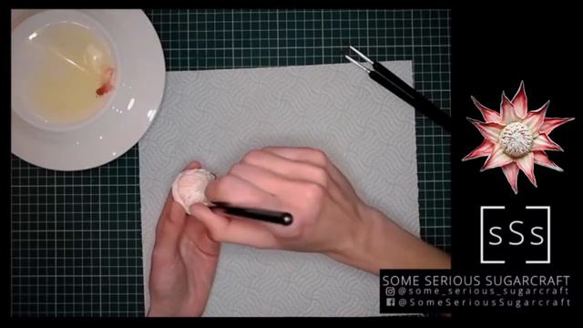 Protea Flower Cake Topper Tutorial смотреть онлайн