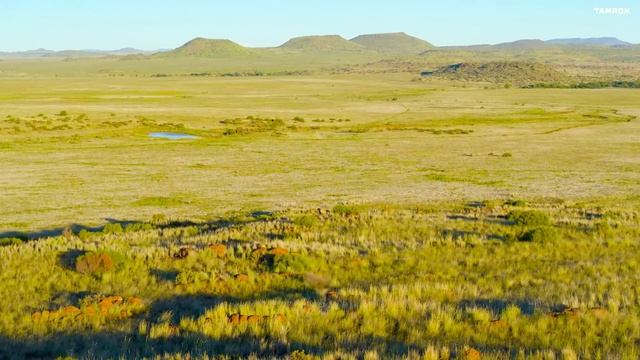 Съемки дикой природы на Tamron 150-500