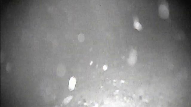 Подводная съемка ночной рыбалки (налим), Рыбинское водохранилище, 2016 год смотреть онлайн