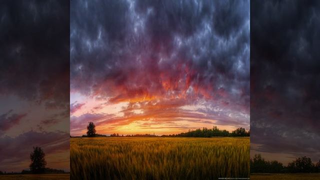 The Mean Pandas - Glimmer HD (1080p) смотреть онлайн