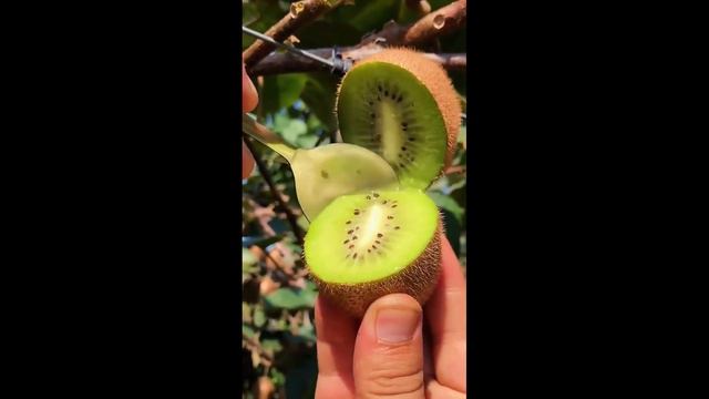 Oddly Satisfying Juicy Fruits #1 смотреть онлайн