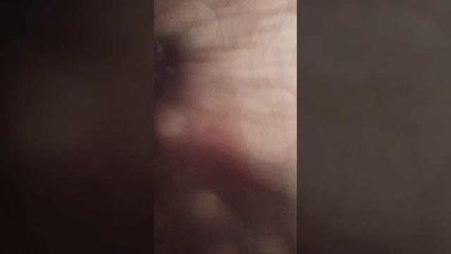 Вот и культурно вернули водительское водителя смотреть онлайн