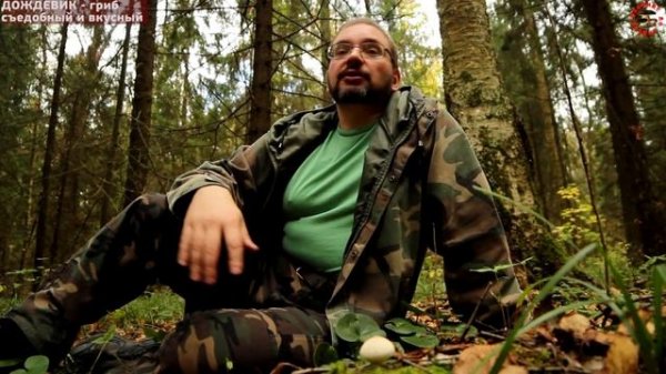 Дождевик - вкусный и недооцененный гриб  GRIB.tv