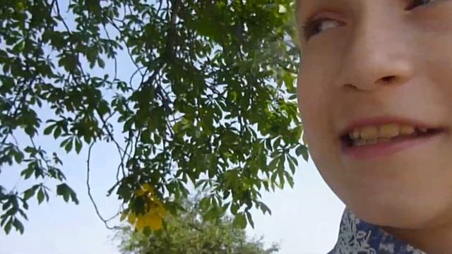 Vlog: Милые обнимашки , Танцы. смотреть онлайн