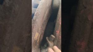 замена датчика АБС ивеко стралис