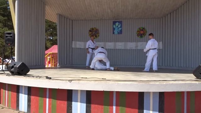 Jyoshinmon karate-do, Tallinn, Mustamäe, Männi park смотреть онлайн
