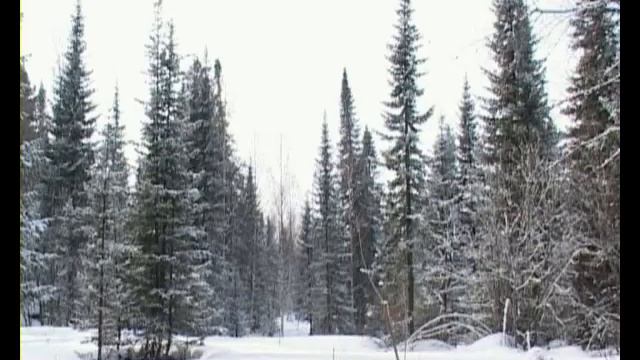Снегоходное ралли на Телецком Озере (2004) - 6 смотреть онлайн