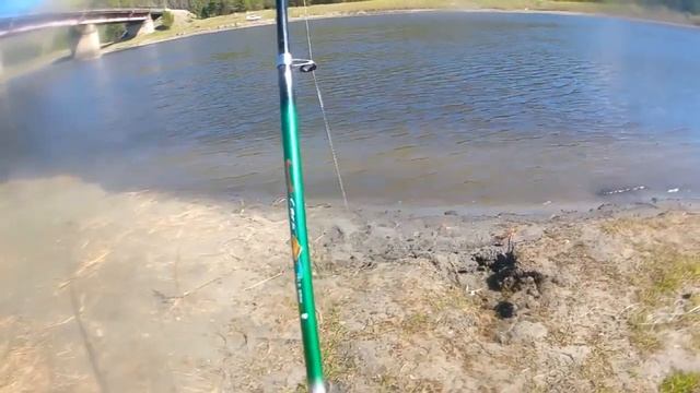 Рыбалка в Бургузине на р Ина#Сазан#Баргузин#ДмитрийHD