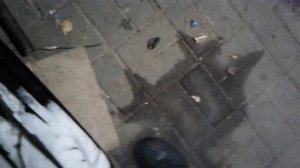 Снегоход рысь .заводится с пол оборота.