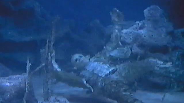 1967-68 Television Season 50th Anniversary: Voyage to the Bottom of the Sea смотреть онлайн