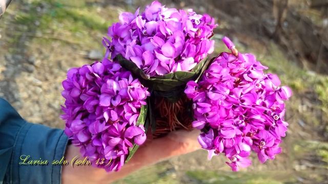 Красивое поздравление с 8 Марта. Цветная и позитивная открытка смотреть онлайн