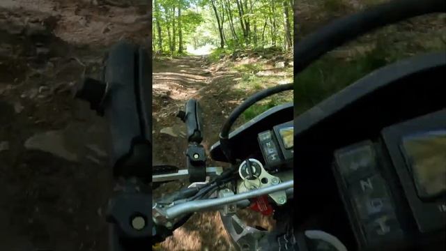 It's ALRIGHT, it's OKAY, You Can RIDE the Other Way! ??️?️ смотреть онлайн