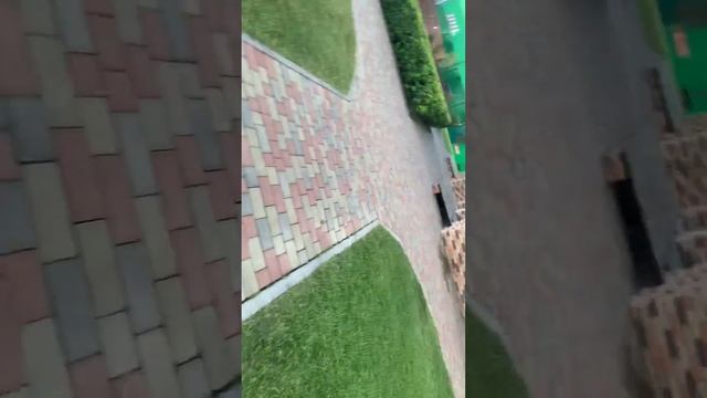 11 августа 2023 г. смотреть онлайн