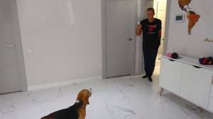 Скорая Помощь для ШЕРЛОКА. Батя спасает ЩЕНКА. Брос Шоу ПЕТ