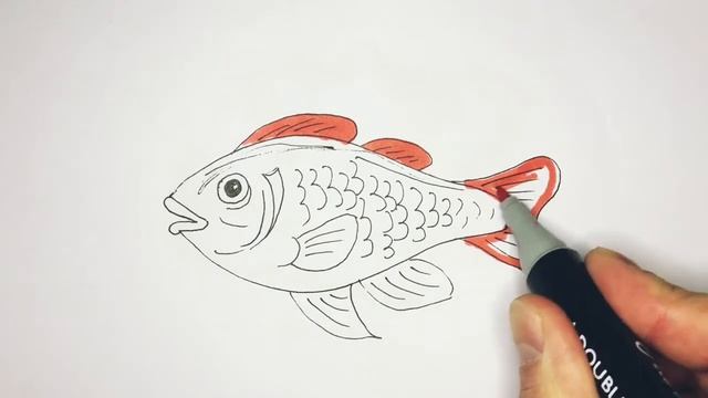 Как нарисовать рыбу - How to draw a fish смотреть онлайн
