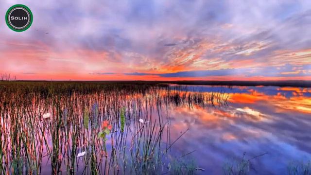 Мухаммад  Люхайдан- Рукия. #islam #quran #muslim