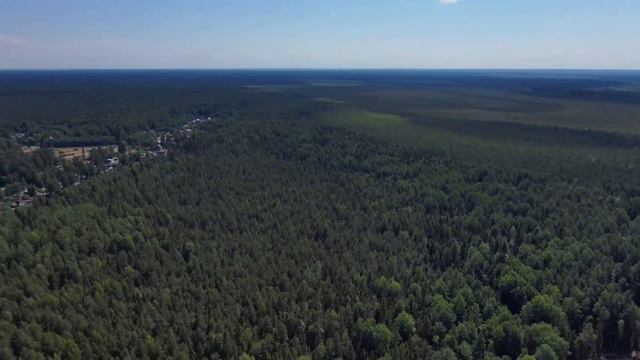 Tamengont (таменгонт)