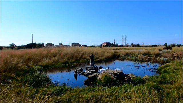 Крым без воды и умерший заказник. Астанинские плавни превратились в солончак смотреть онлайн