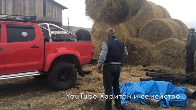 В будки собакам нужно стелить солому смотреть онлайн