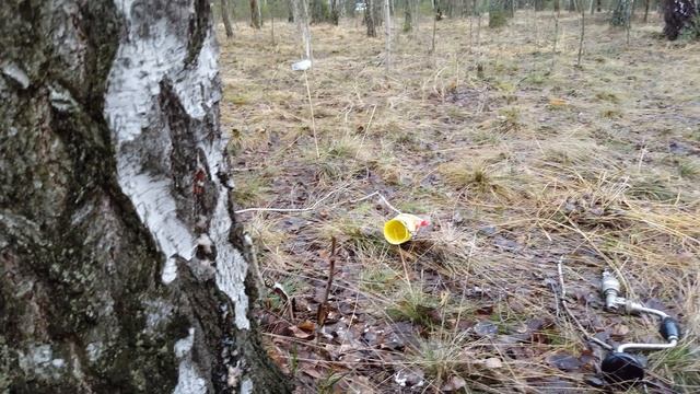 Грибные шкатулки