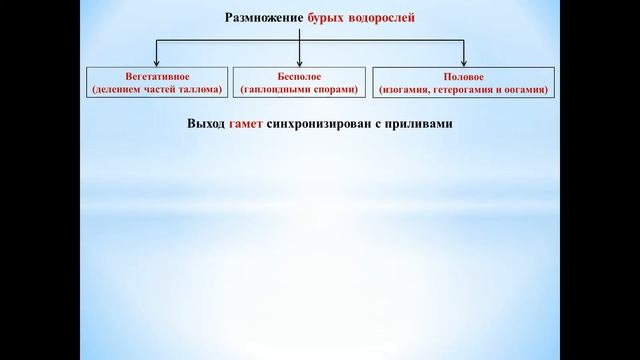 Растения - часть 4 (Бурые водоросли) смотреть онлайн