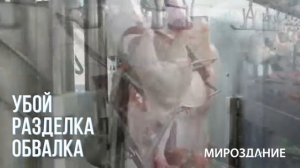 Линия разделки птицы. Разделка и обвалка курицы