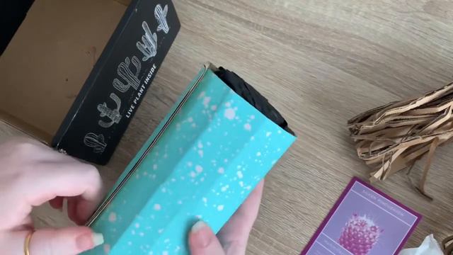 Barry’s Cactus Club 3rd Box August 2020 Unboxing смотреть онлайн
