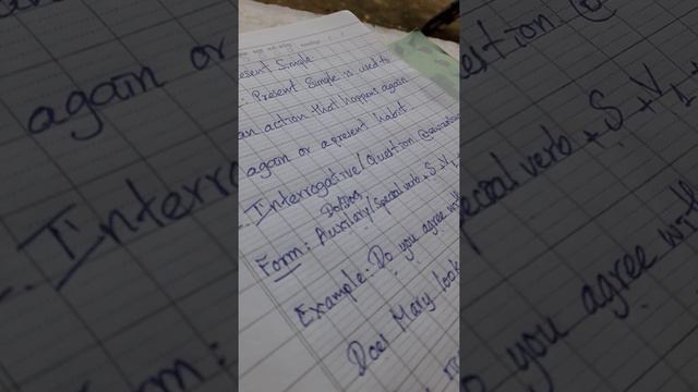 Present Simple ( Interrogative/Question) смотреть онлайн