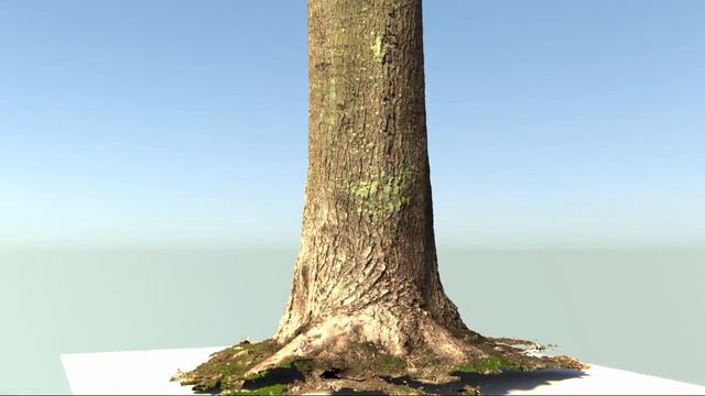 Blender 3D - Tree trunk photogrammetry (Photo Scanning) смотреть онлайн