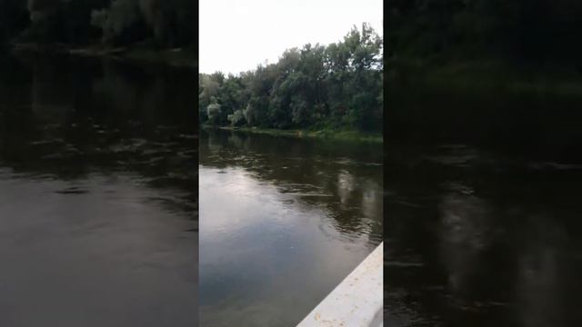 Вечерняя прогулка к реке. смотреть онлайн