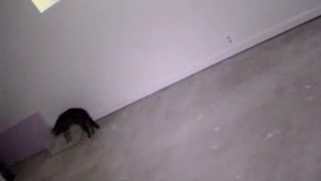 2 2014 07 03 15 05 06 смотреть онлайн