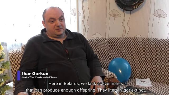 Конезаводчики привезли из Бельгии лошадей / Belarusian horse breeders introduce a breed from Belgiu смотреть онлайн