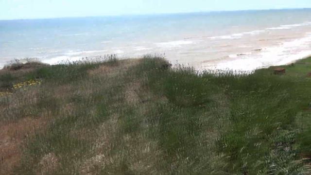 Покатушки на ветряки. Часть 2. Катаюсь на мопеде вдоль моря смотреть онлайн