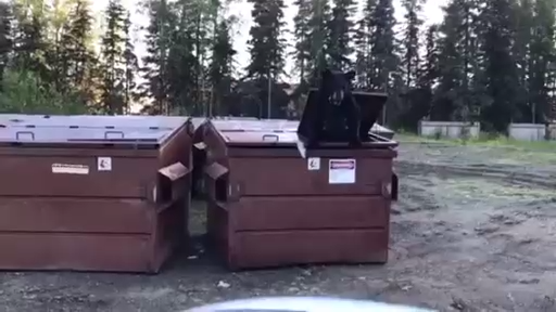 Разбудили мишку смотреть онлайн