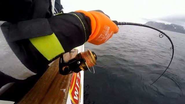 Катушка WFT Pro Salt 10000 для рыбалки на палтуса